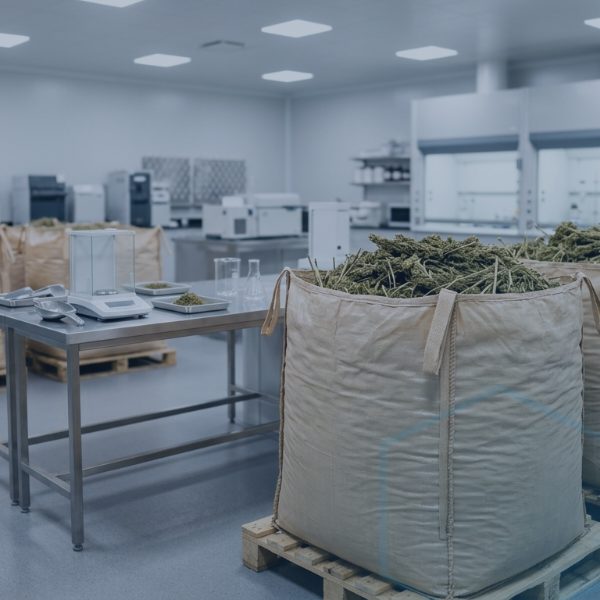 Warehouse technician checking packaged hemp-derived ingredient containers against the new hemp THC container limit